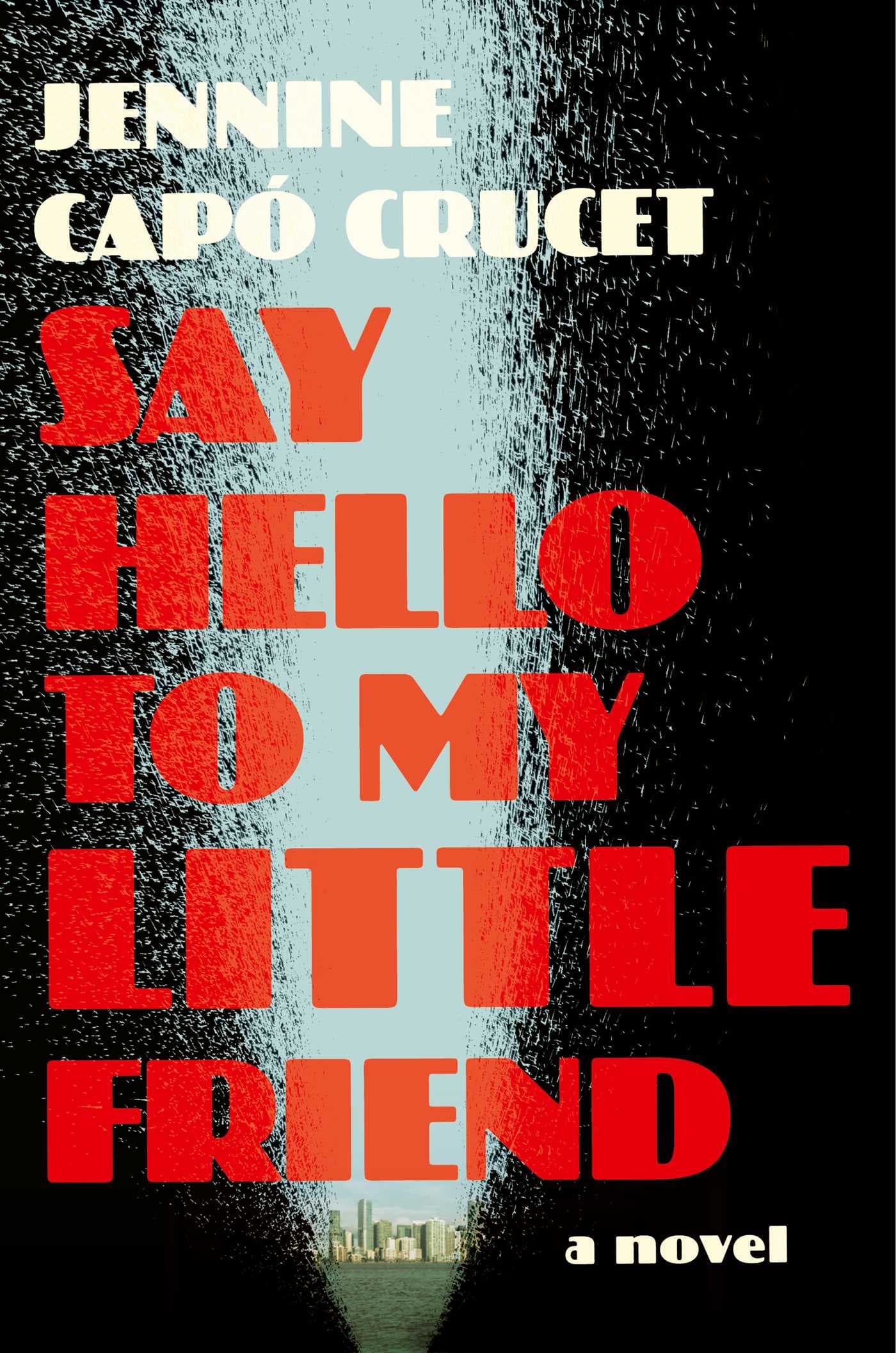 Say Hello to My Little Friend book cover