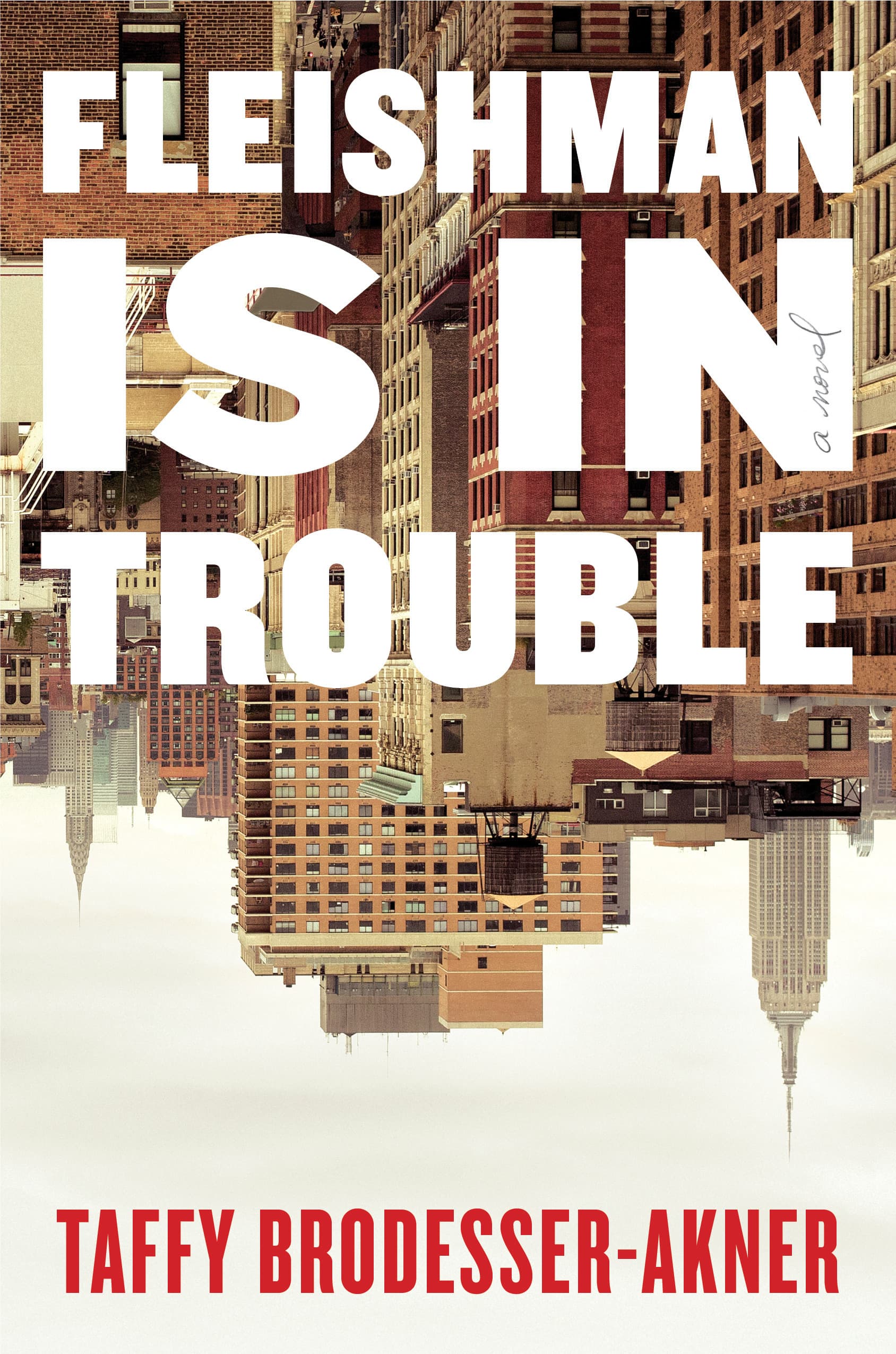 Fleishman Is in Trouble book cover
