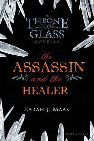 The Assassin and the Healer book cover