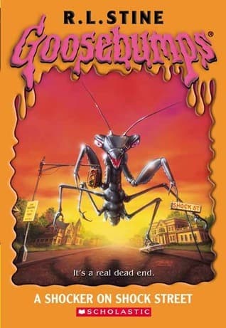 A Shocker on Shock Street book cover