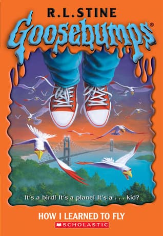 How I Learned to Fly book cover