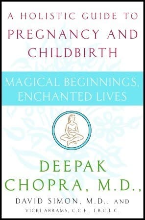 Magical Beginnings, Enchanted Lives: A Holistic Guide to Pregnancy and Childbirth book cover