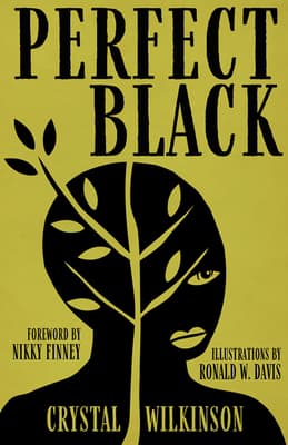 Perfect Black book cover