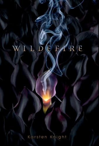 Wildefire book cover