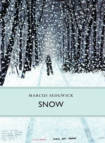 Snow  book cover