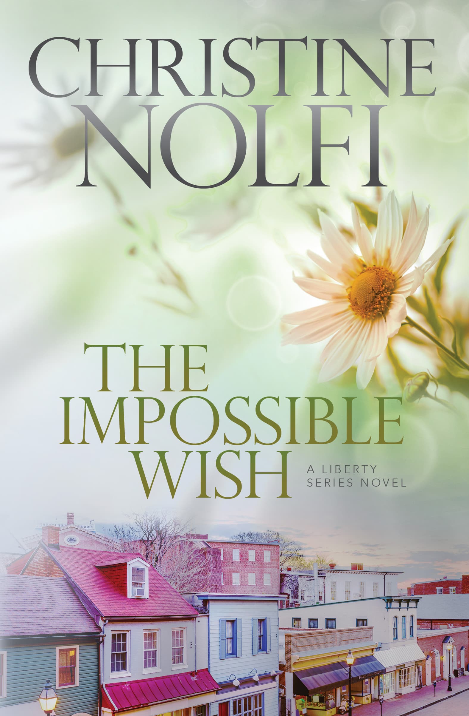 The Impossible Wish book cover