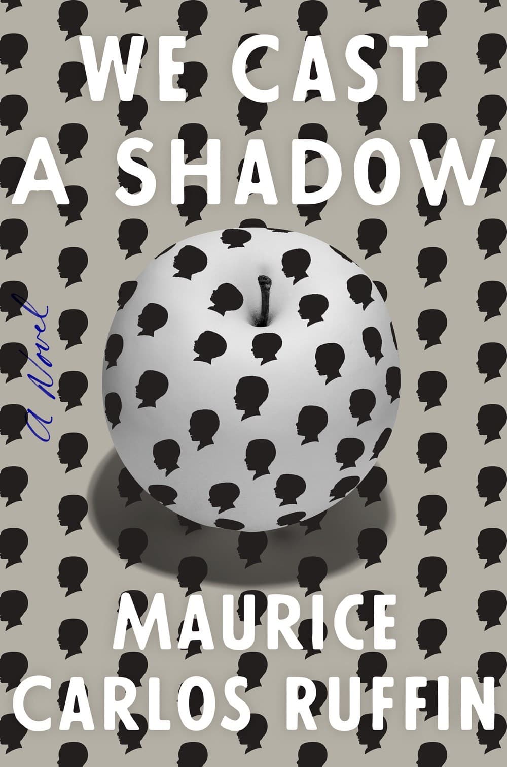 We Cast a Shadow book cover