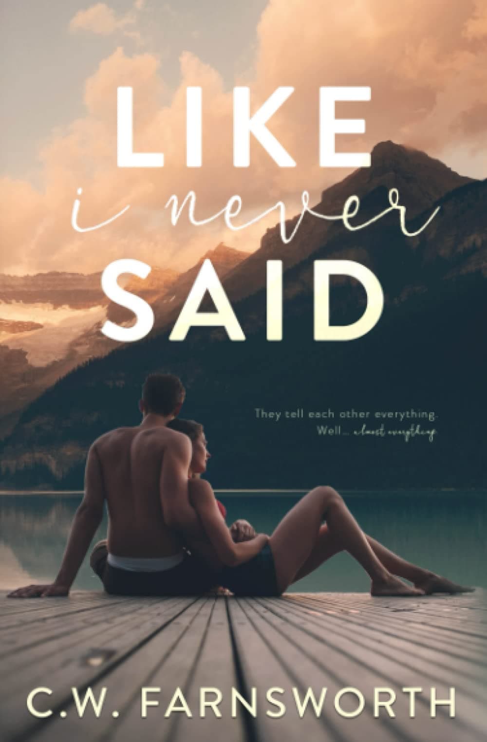 Like I Never Said book cover