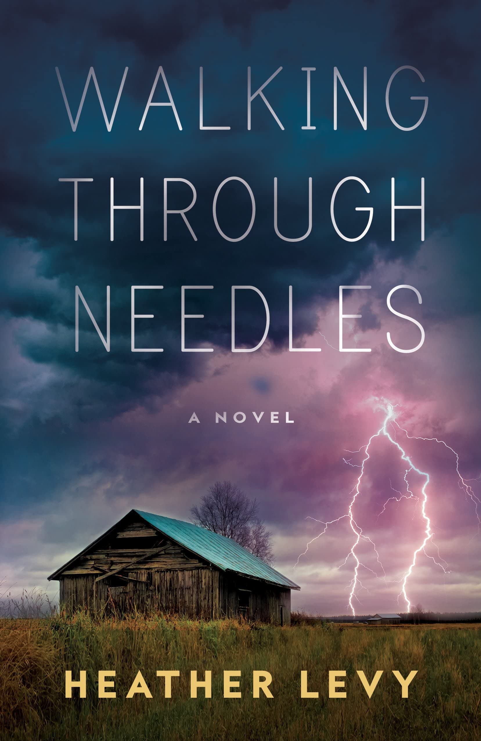 Walking Through Needles book cover
