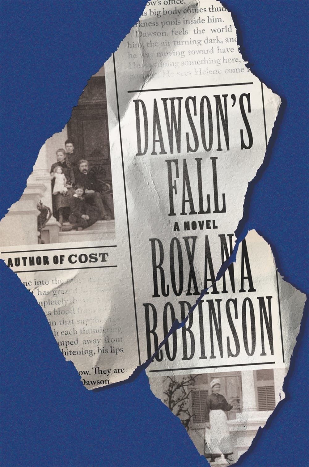 Dawson's Fall: A Novel book cover