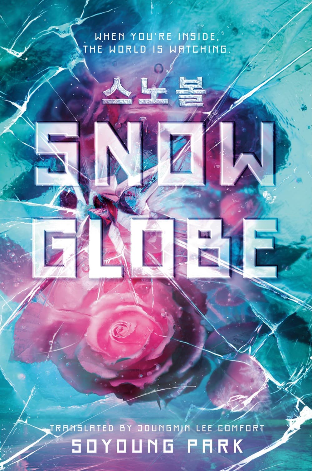 Snowglobe book cover