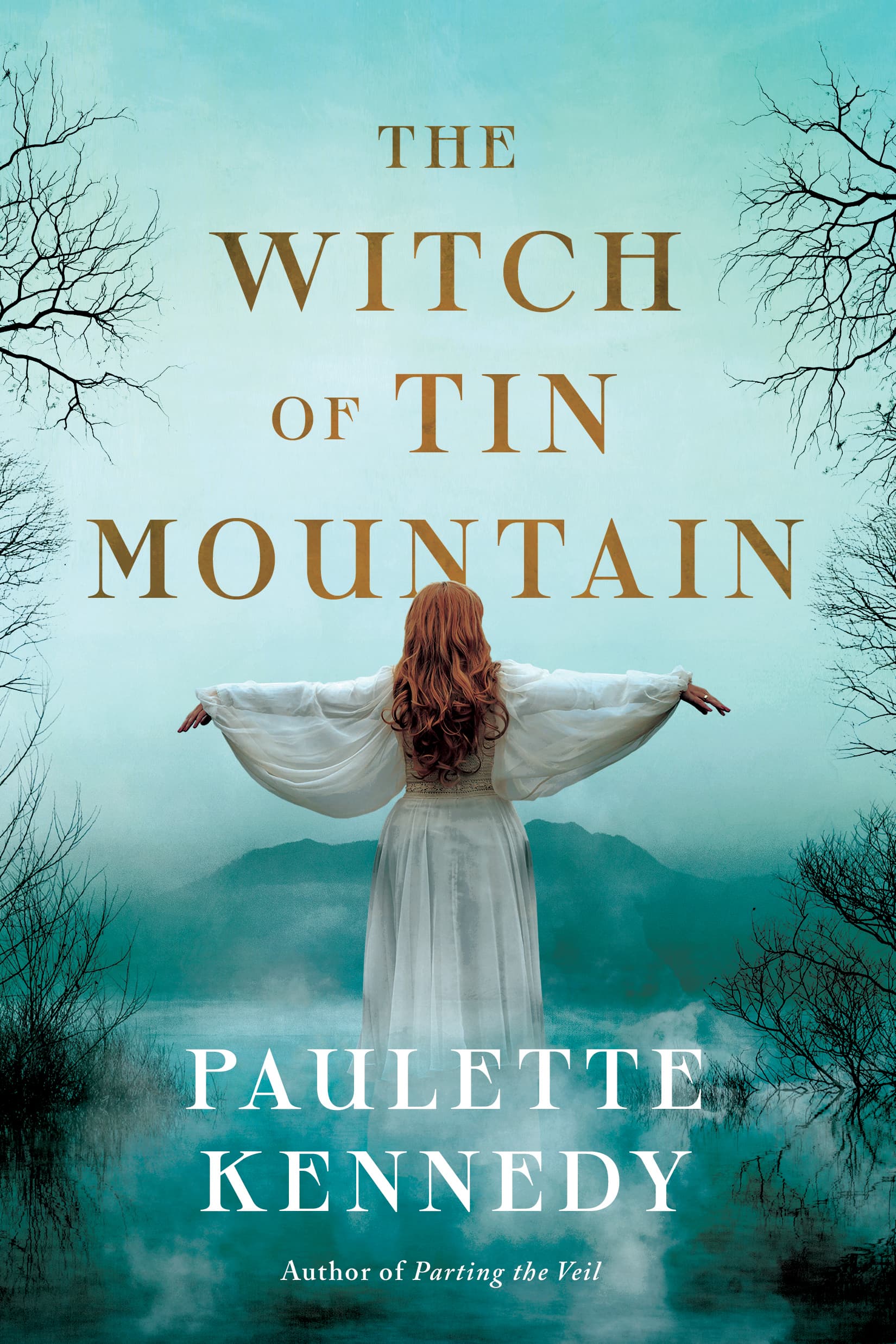 The Witch of Tin Mountain book cover