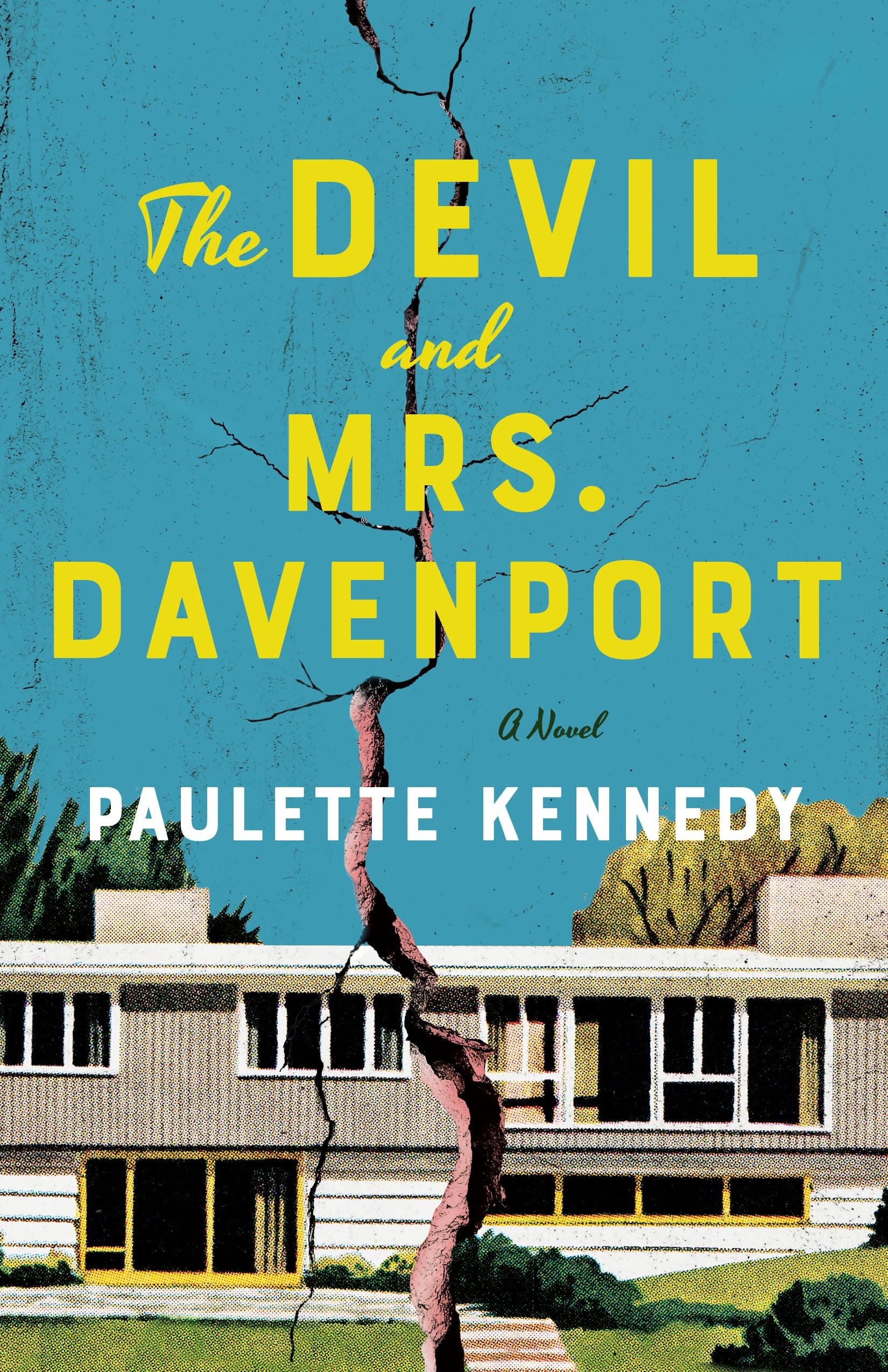 The Devil and Mrs. Davenport book cover