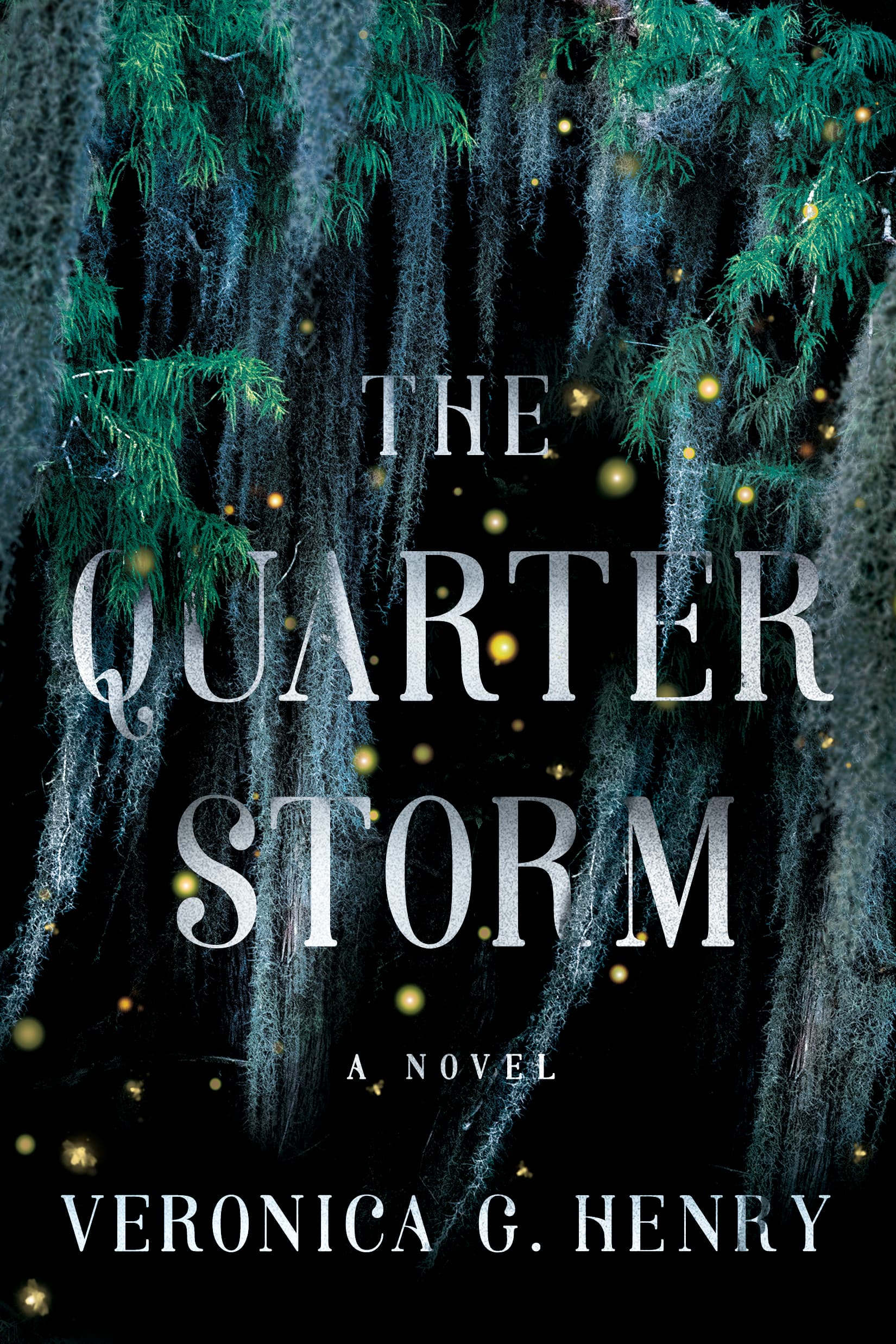 The Quarter Storm book cover