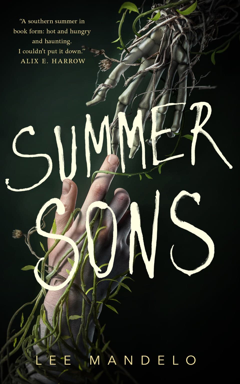 Summer Sons book cover