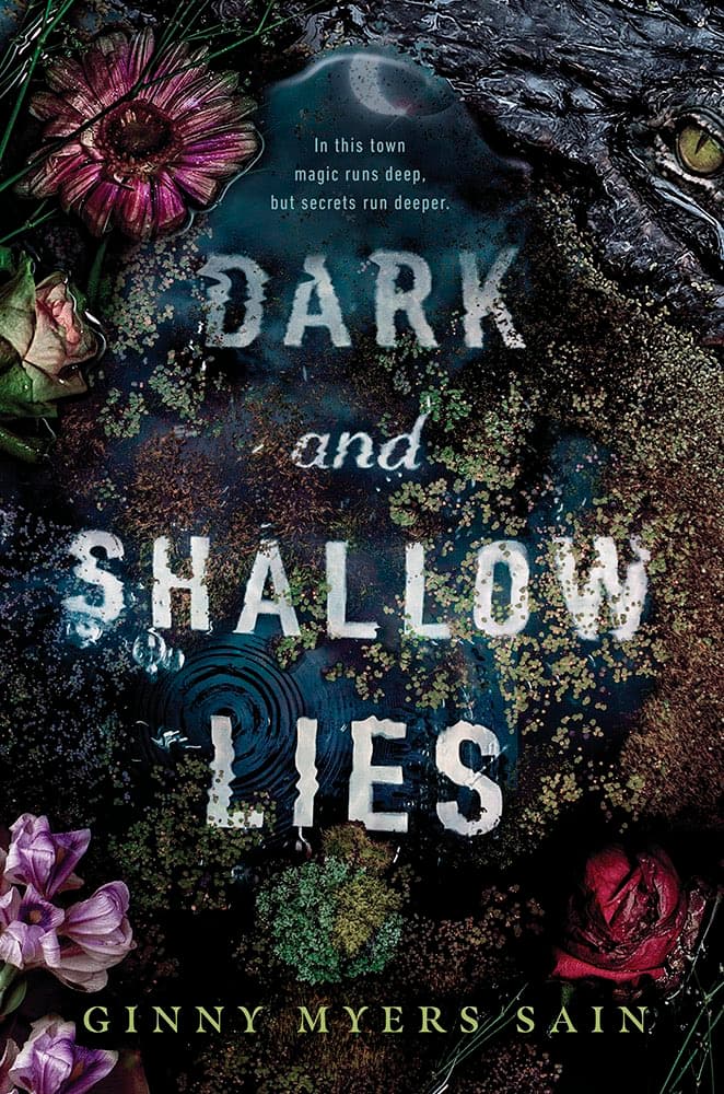 Dark and Shallow Lies book cover