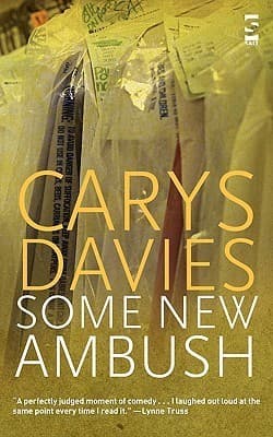 Some New Ambush book cover