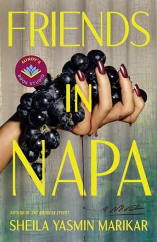 Friends in Napa: A Novel book cover