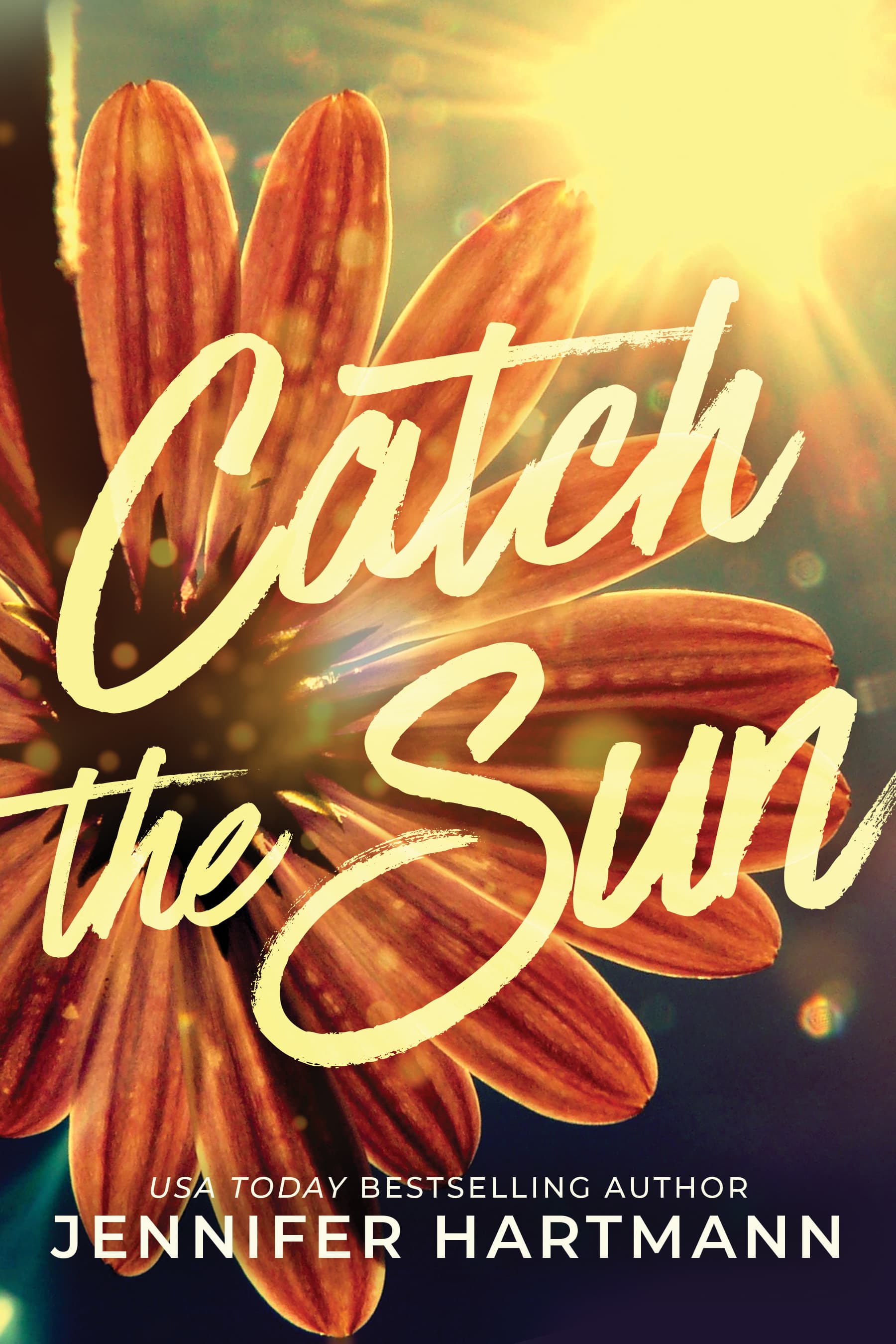 Catch the Sun book cover