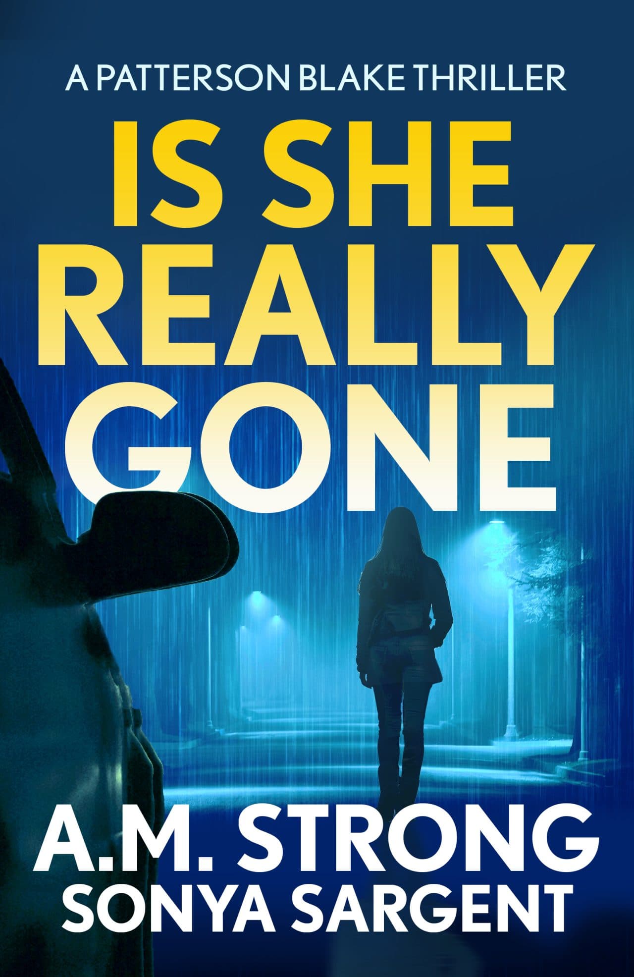 Is She Really Gone book cover