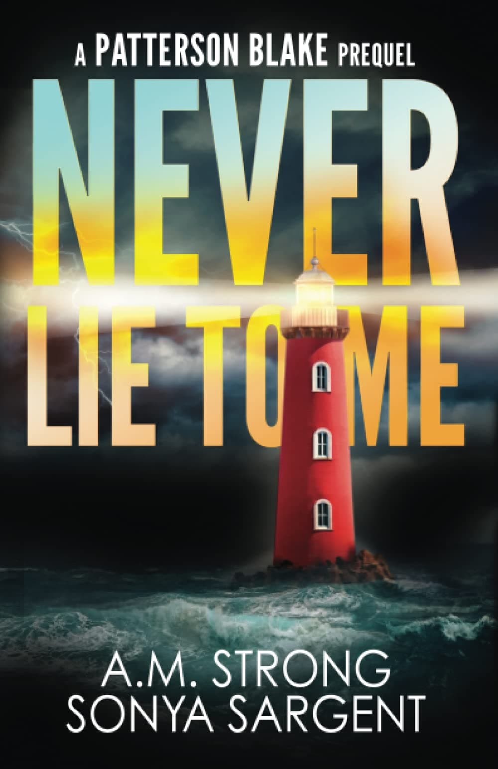Never Lie To Me: A Patterson Blake FBI Mystery Prequel book cover
