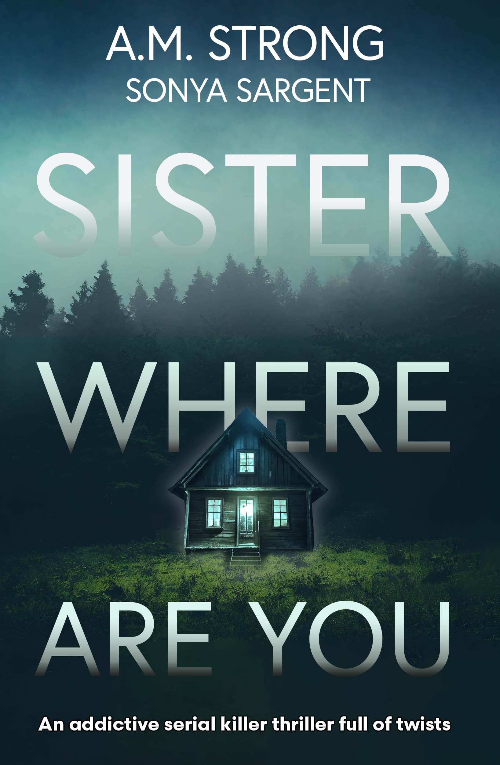 Sister Where Are You book cover