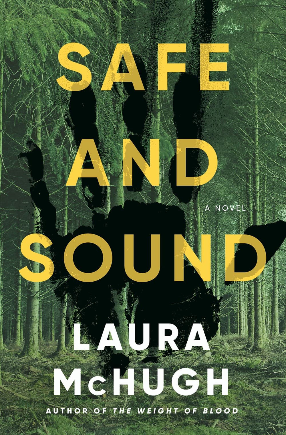 Safe and Sound book cover