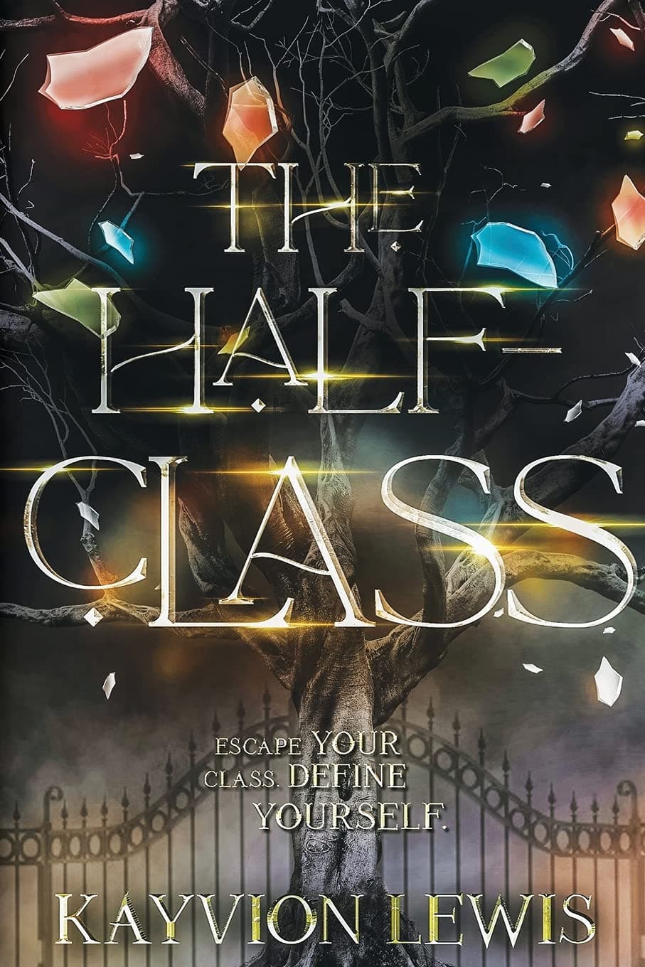 The Half-Class book cover