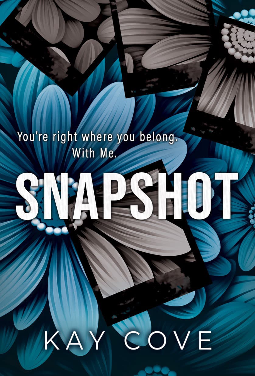 Snapshot book cover
