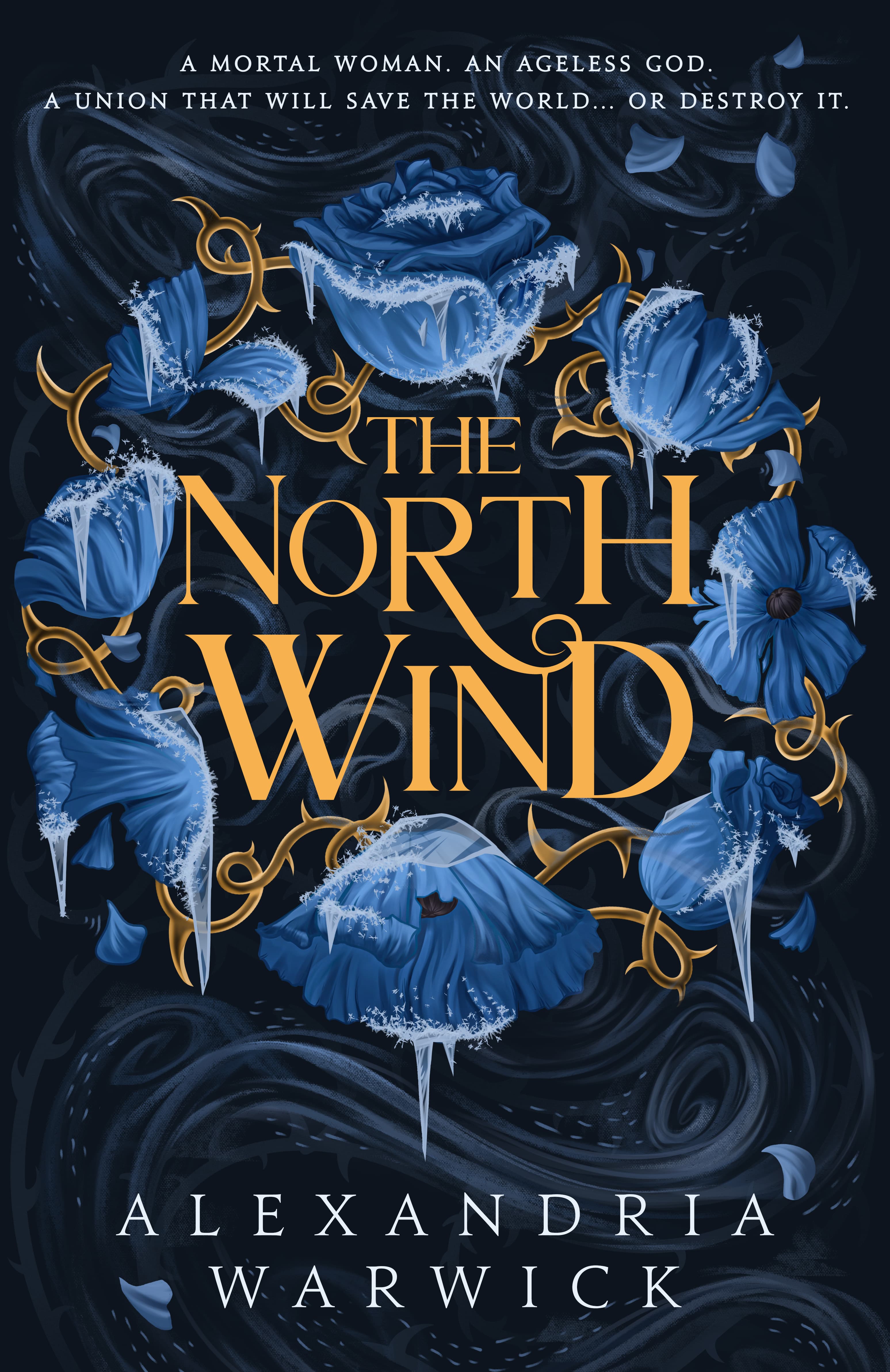 The North Wind book cover