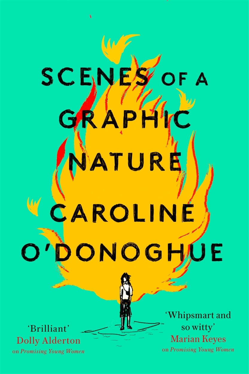 Scenes of a Graphic Nature book cover