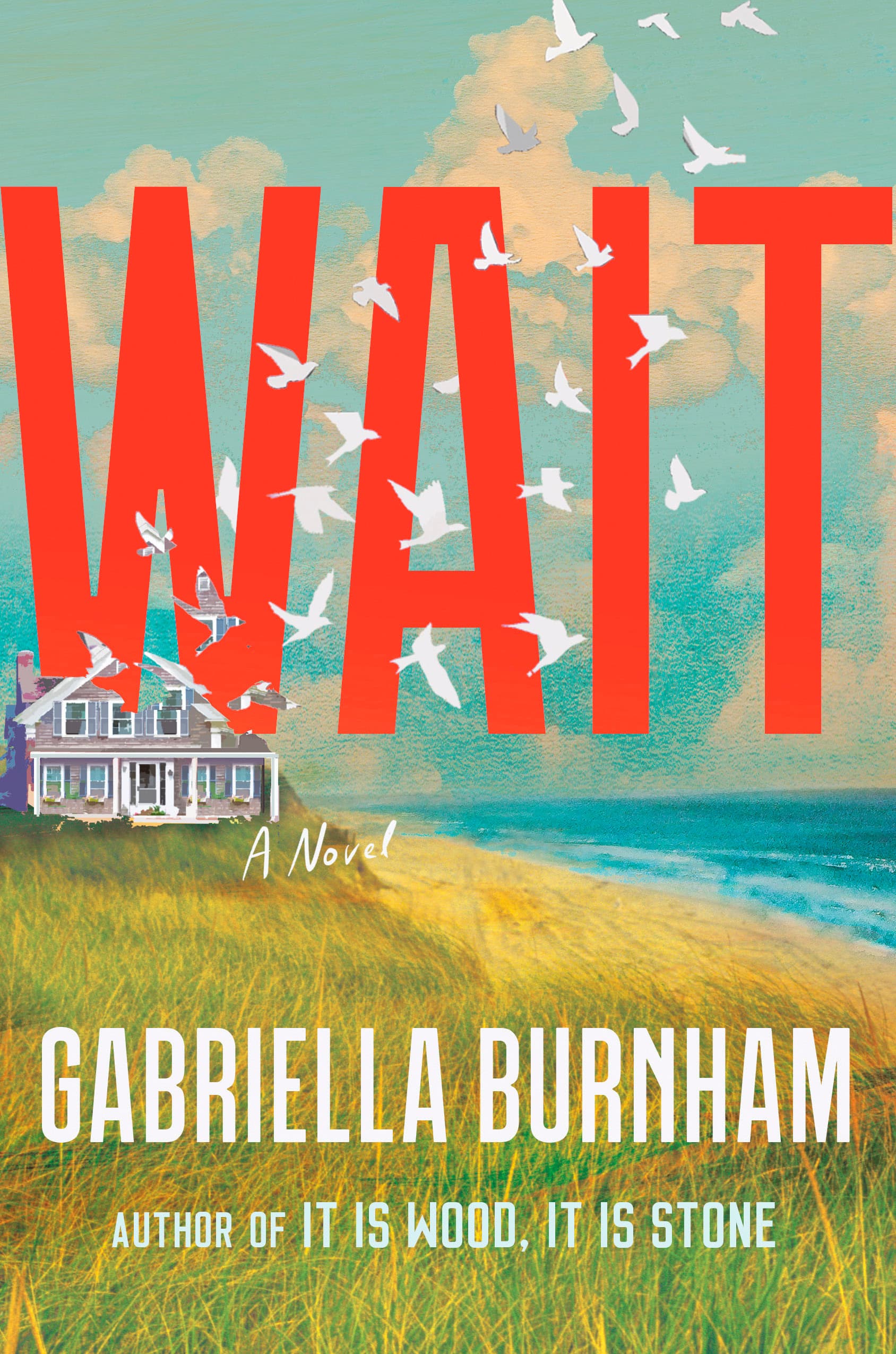 Wait book cover