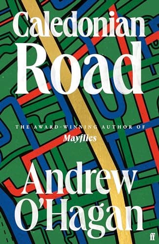 Caledonian Road book cover