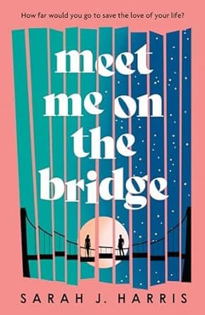 Meet Me on the Bridge book cover