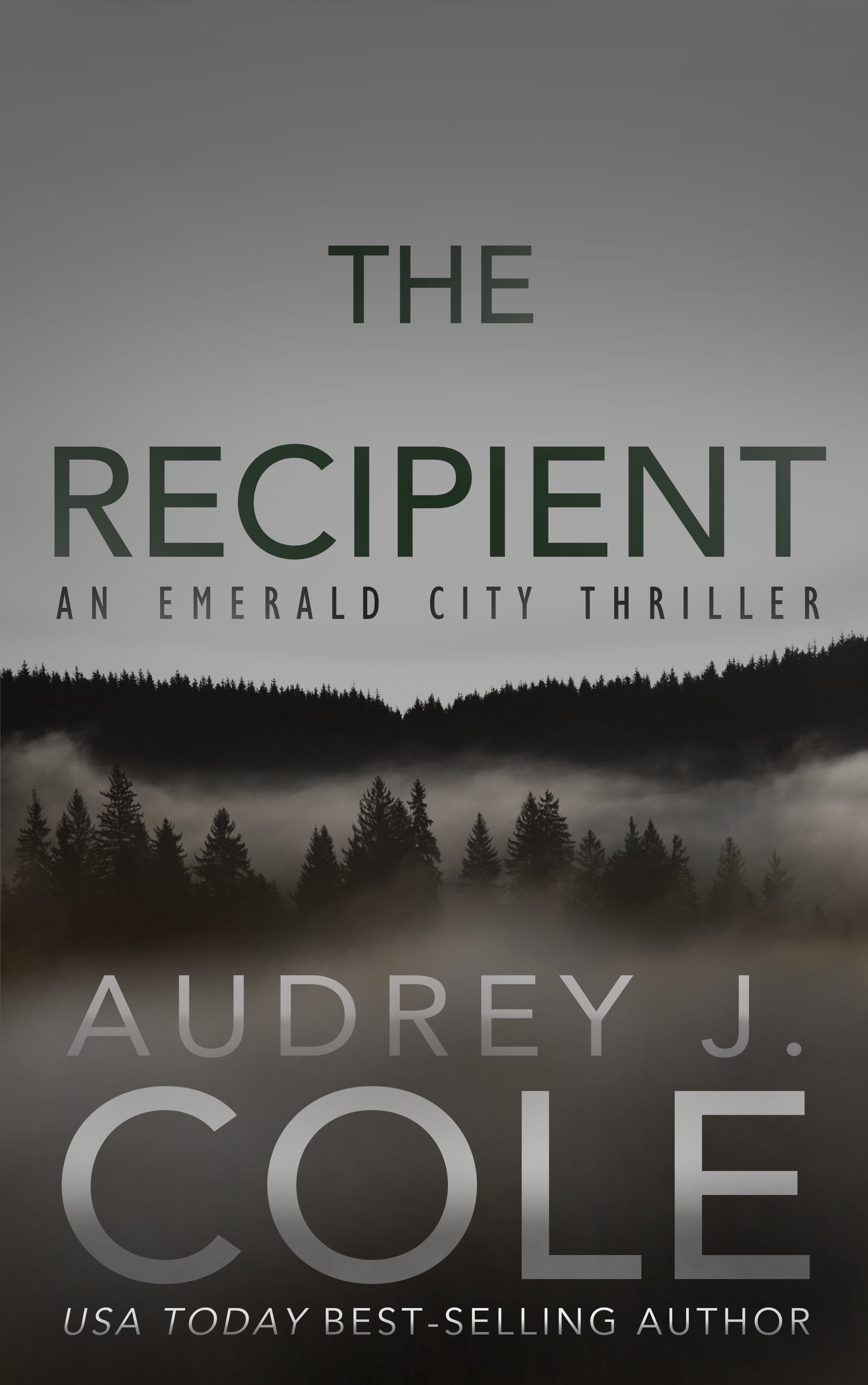 The Recipient book cover