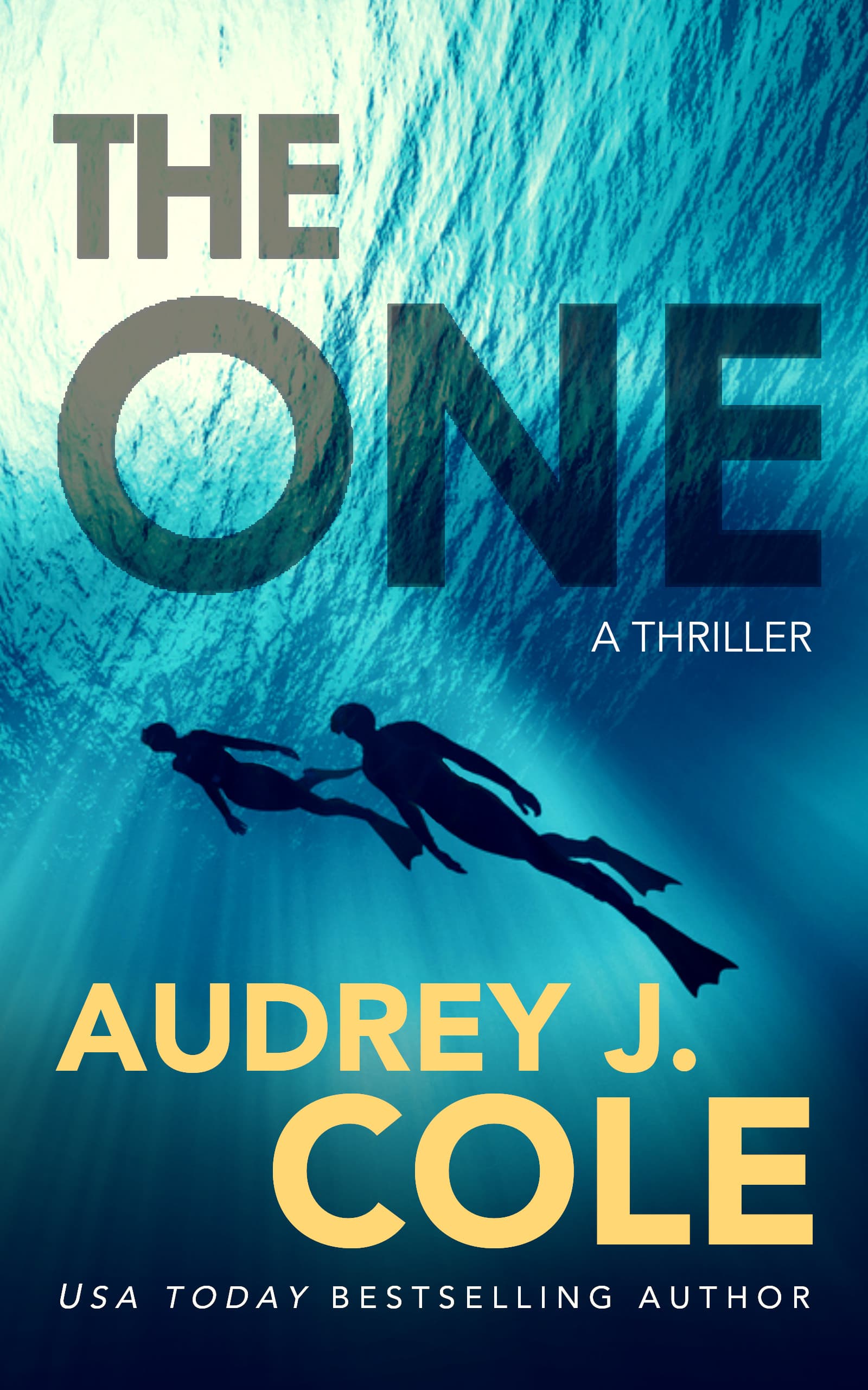 The One book cover