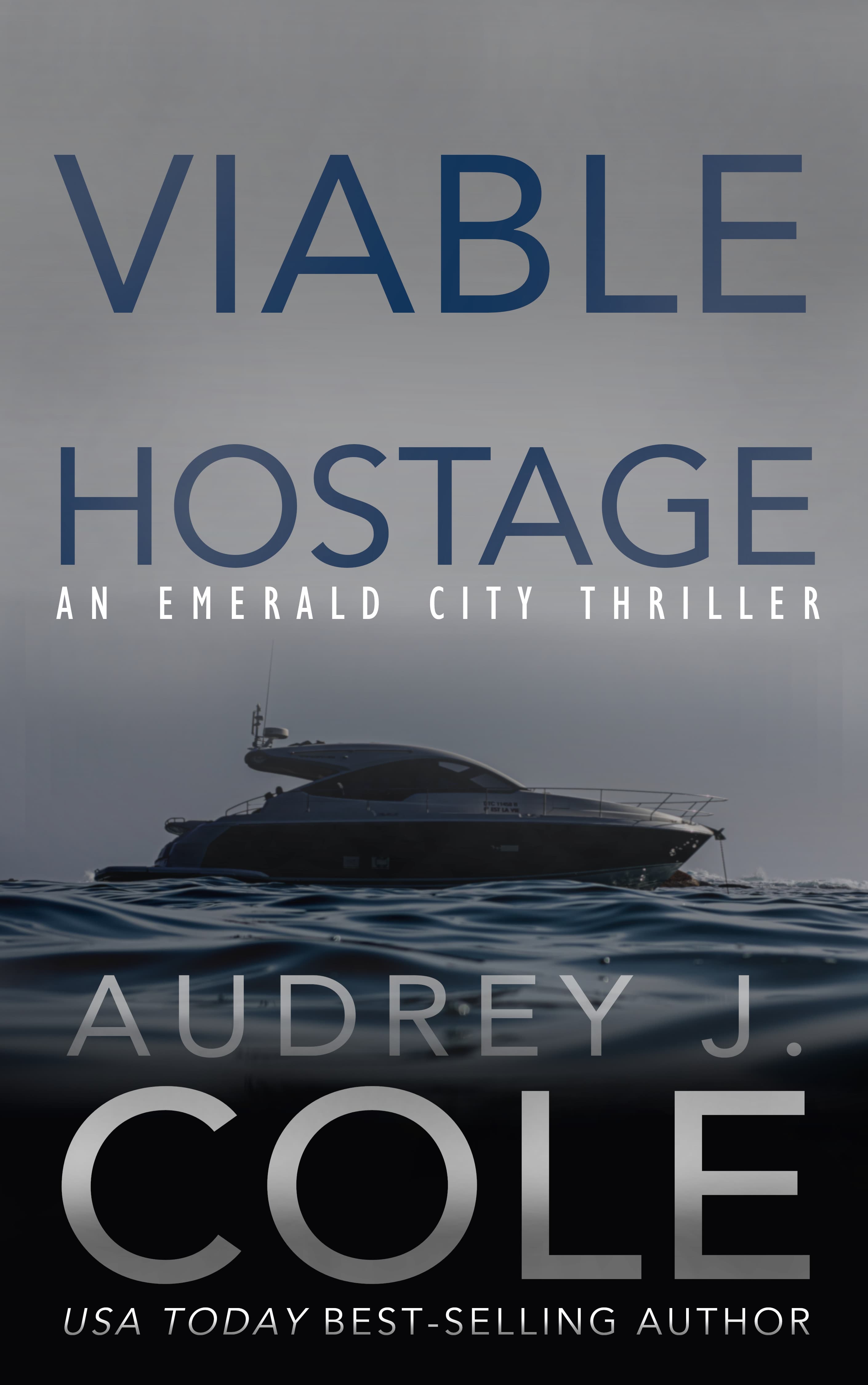 Viable Hostage book cover