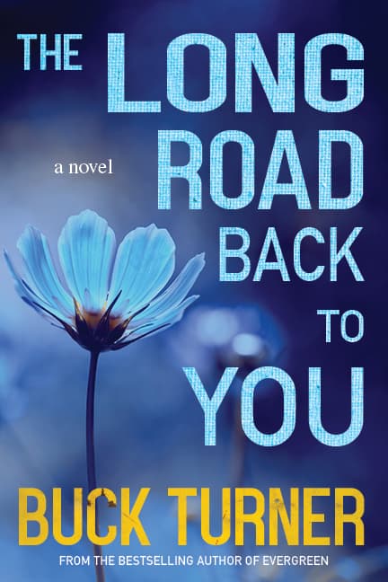 The Long Road Back To You book cover