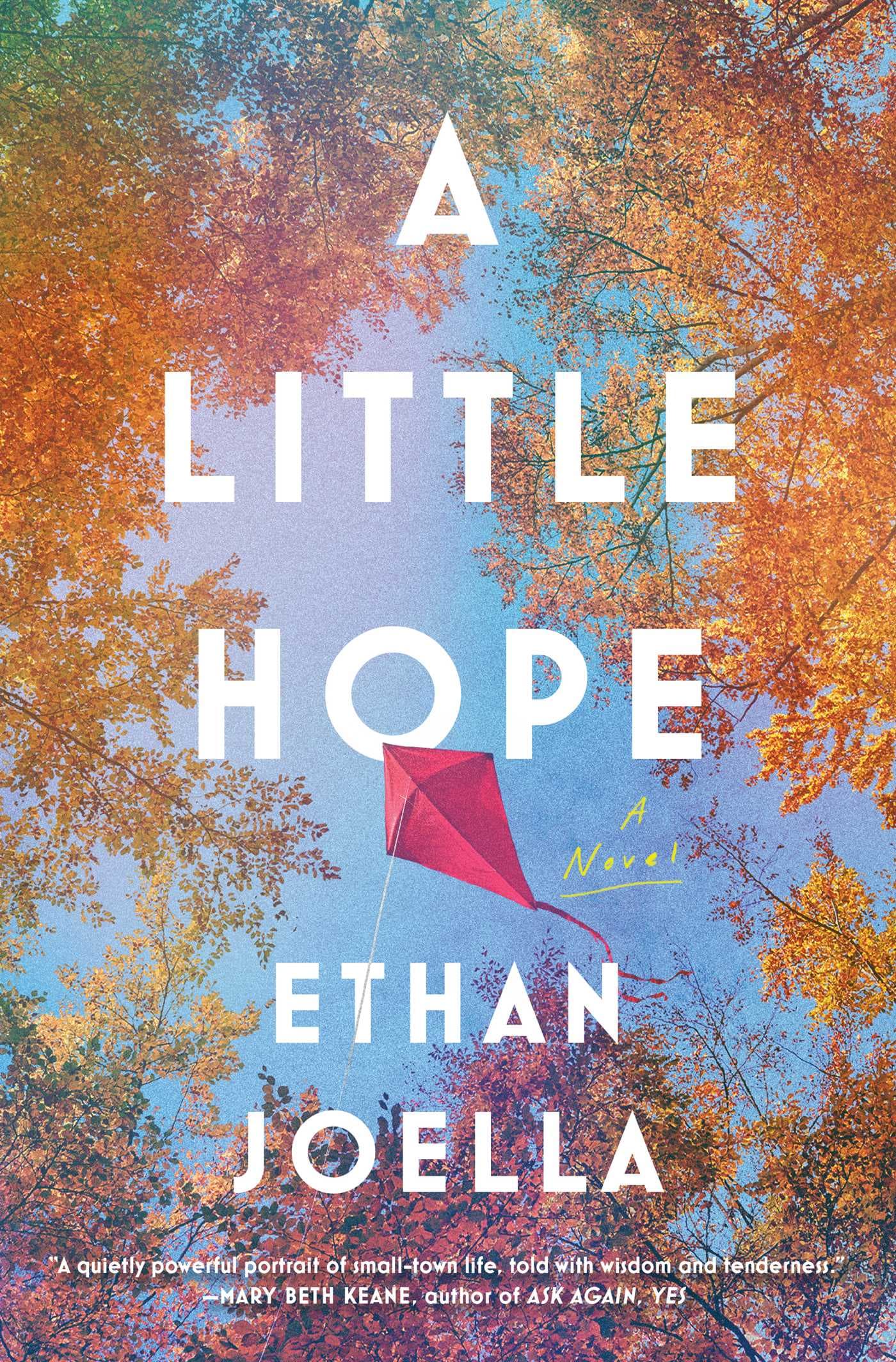 A Little Hope book cover