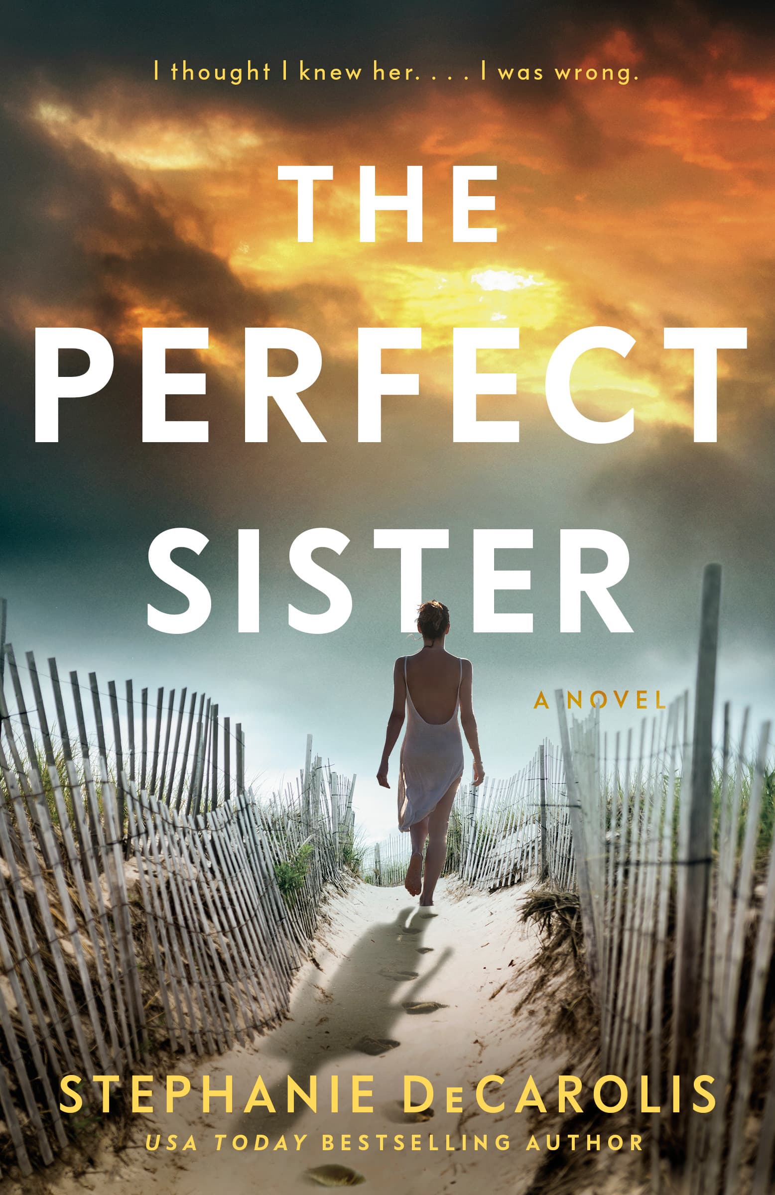 The Perfect Sister book cover