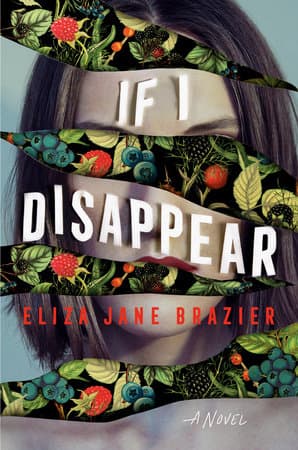 If I Disappear book cover