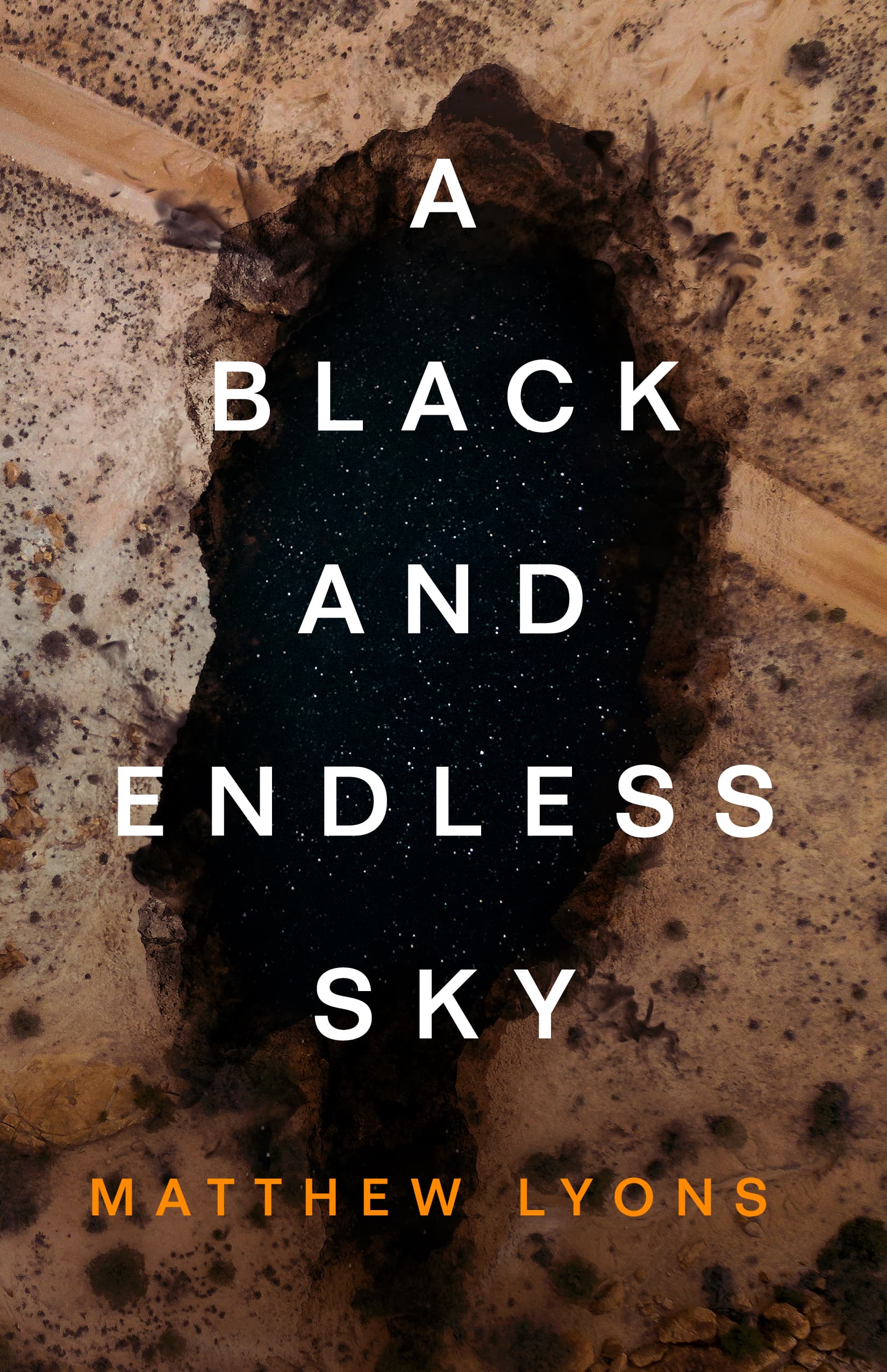 A Black and Endless Sky book cover
