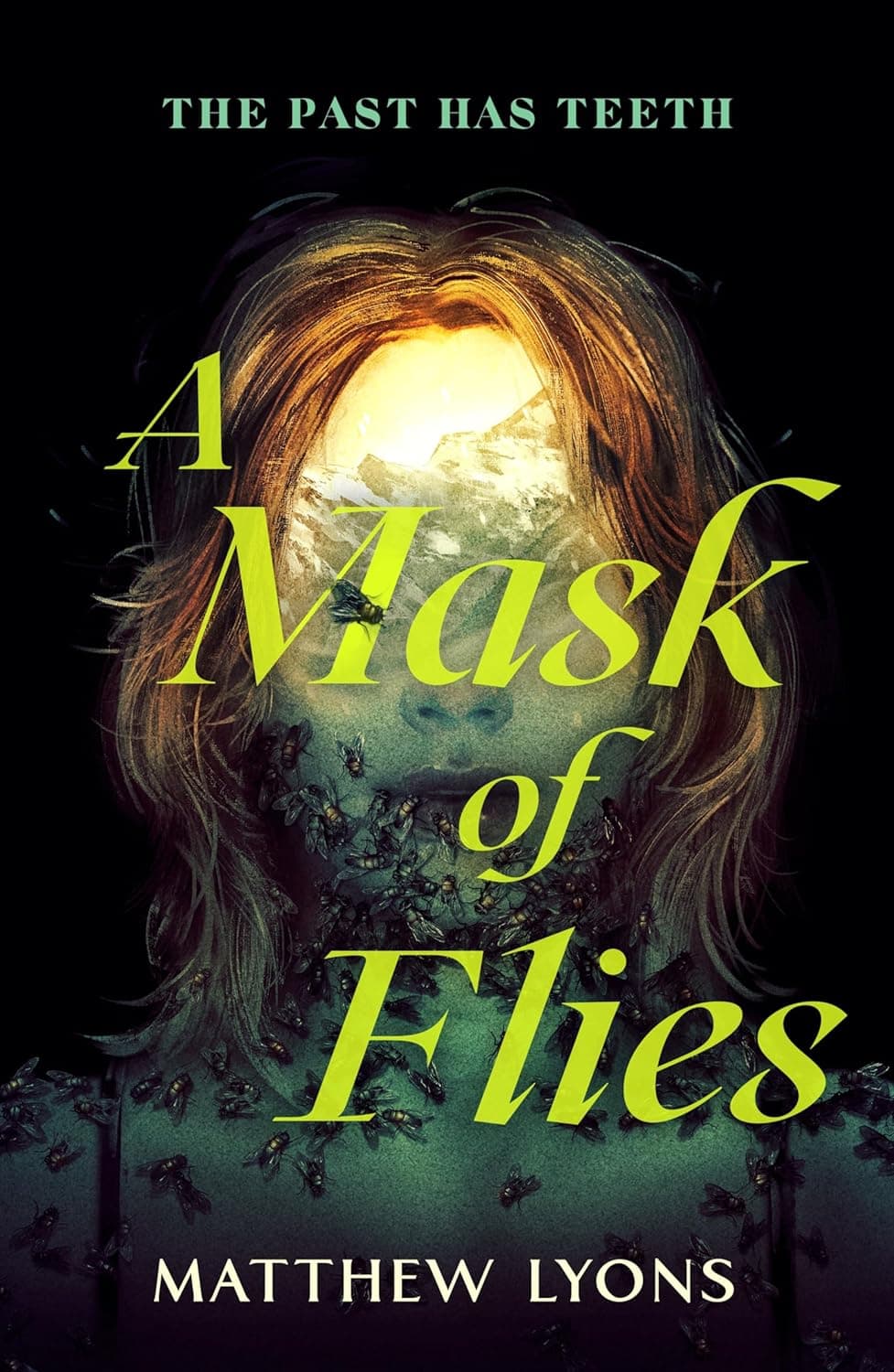 A Mask of Flies book cover