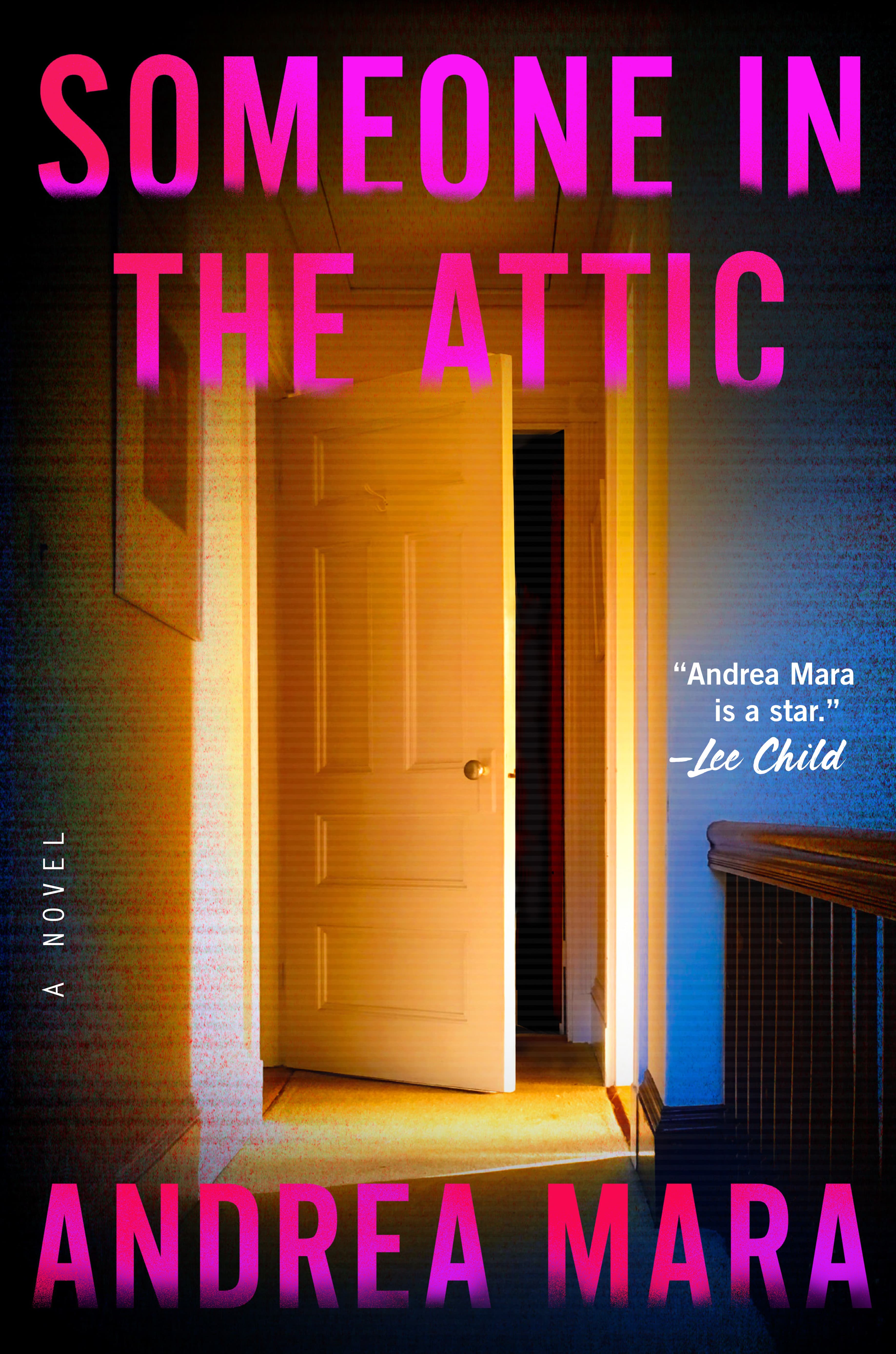 Someone in the Attic book cover