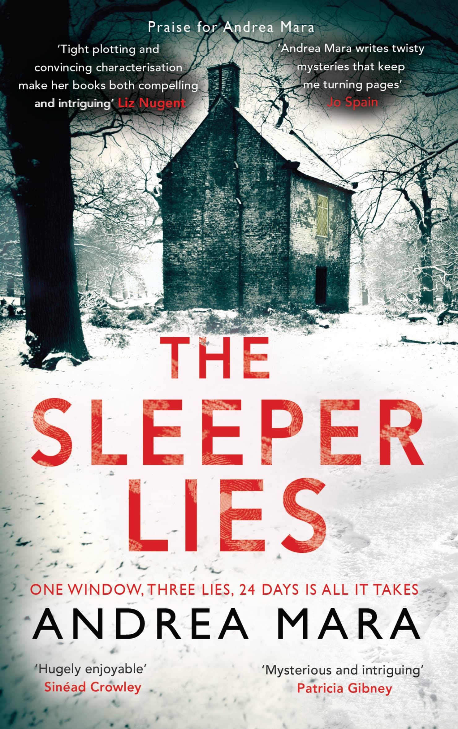 The Sleeper Lies book cover