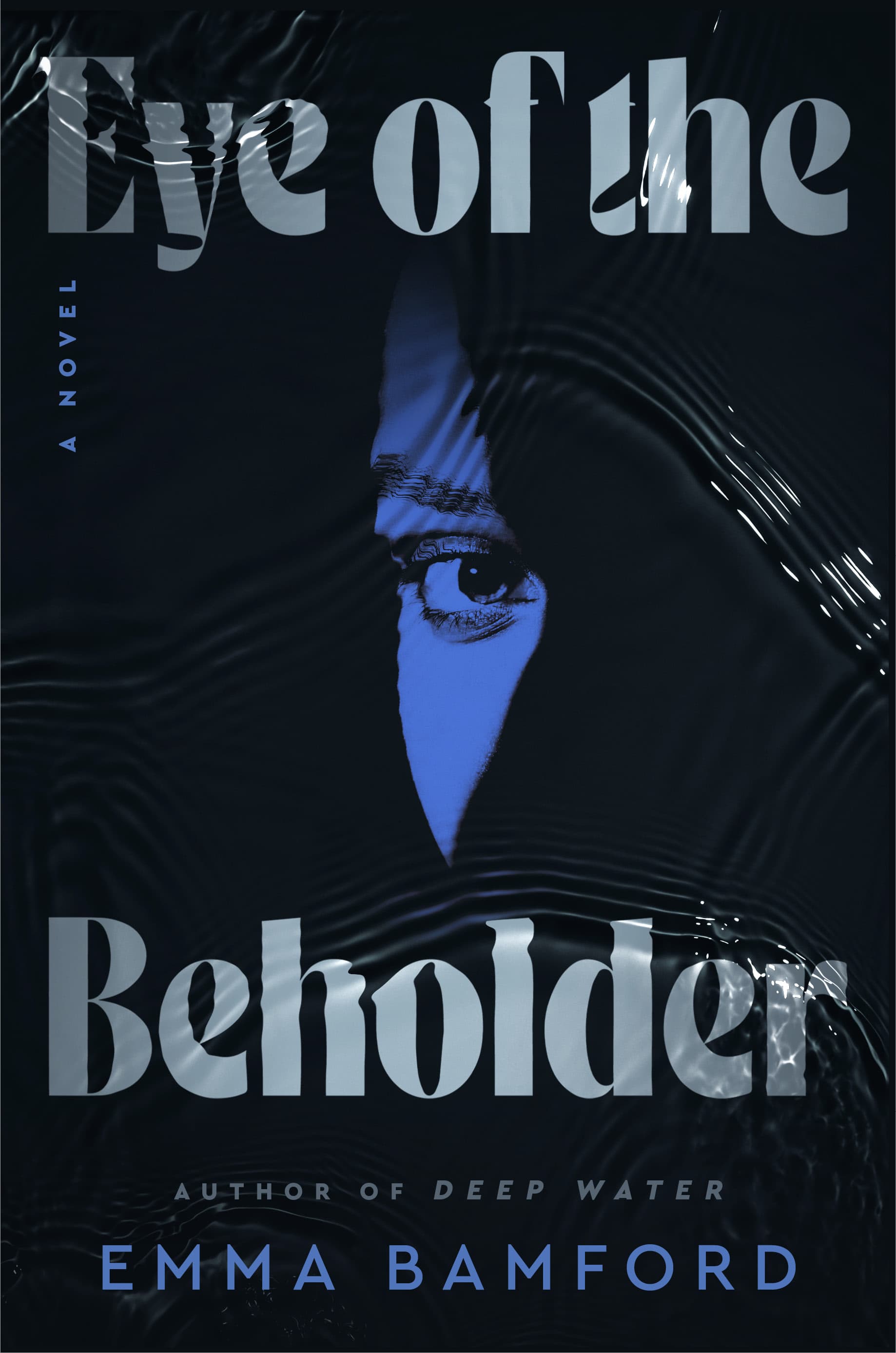 Eye of the Beholder book cover