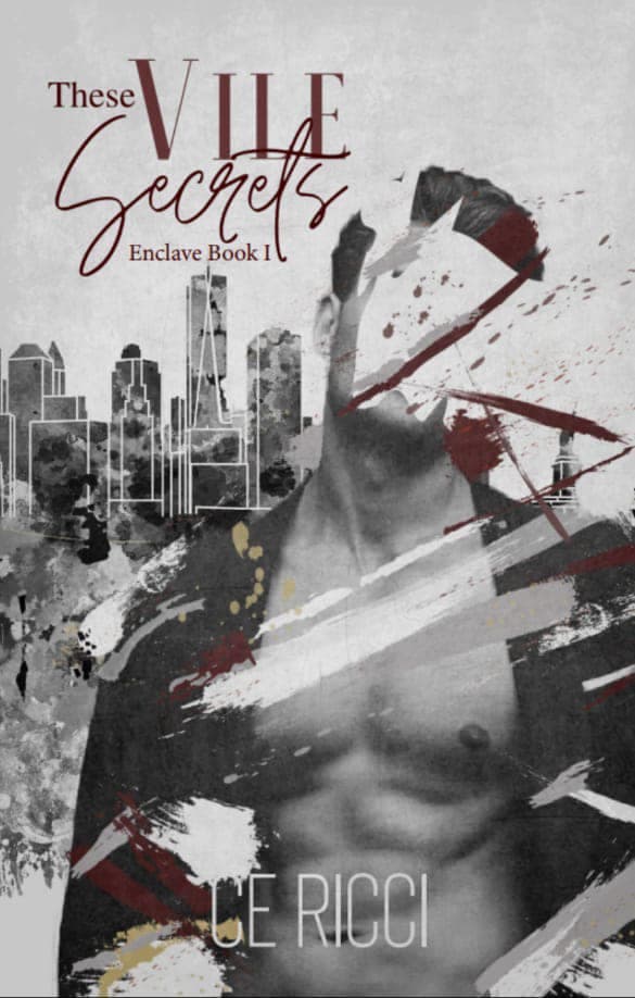These Vile Secrets book cover