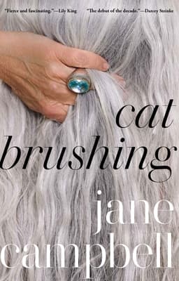 Cat Brushing book cover