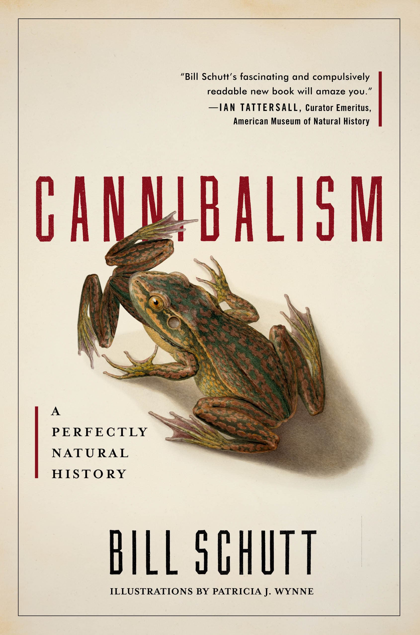 Cannibalism: A Perfectly Natural History book cover