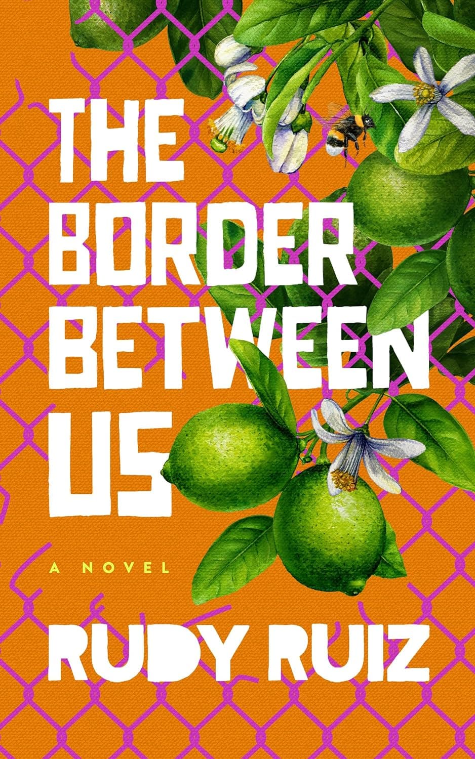 The Border Between Us book cover